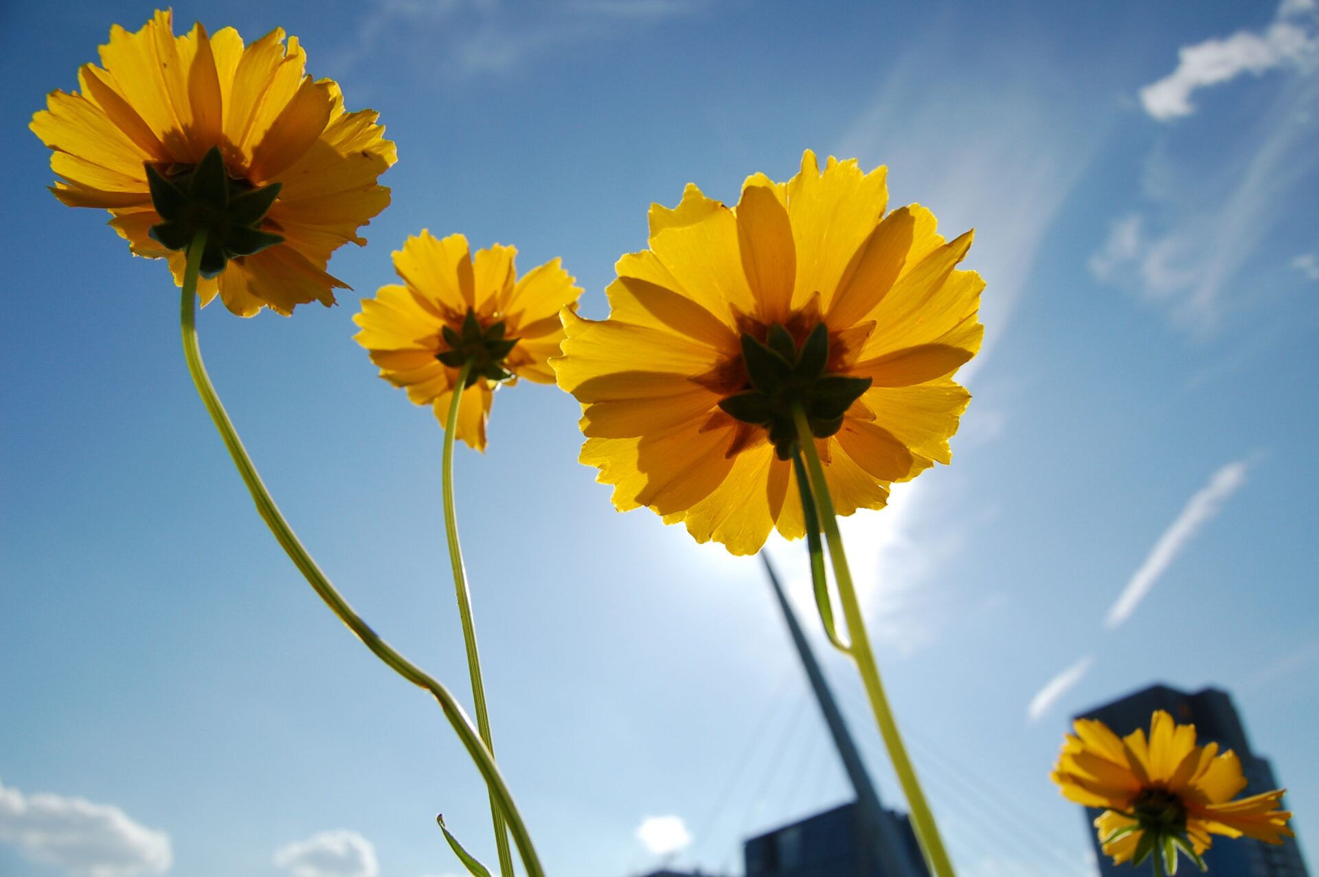これからが夏本番!!夏こそ痩せにくい？夏太りの原因と対策とは・・・？