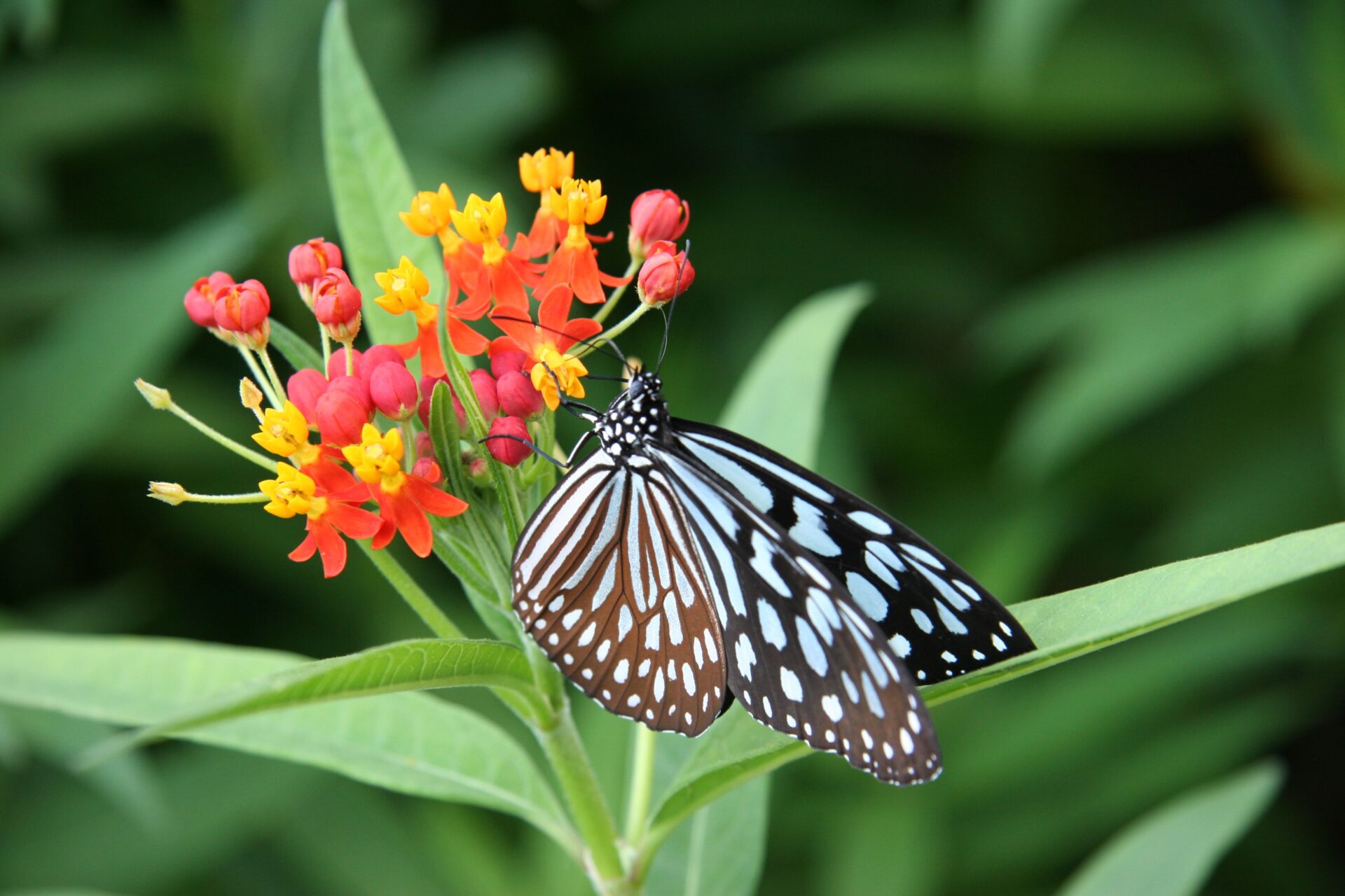 ダイエット中にお腹が空いた・・・と何か食べてしまったりしていませんか？ダイエット中の空腹の原因と上手な対処方法とは？