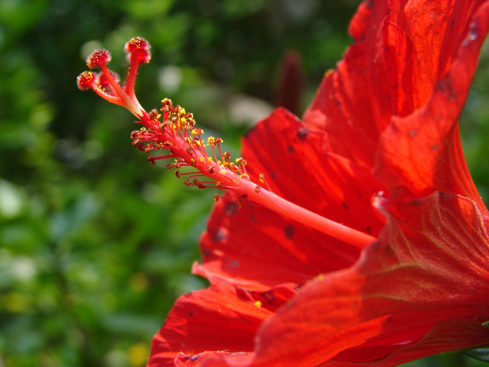 春になって暖かくなったのに痩せないのは何が原因？