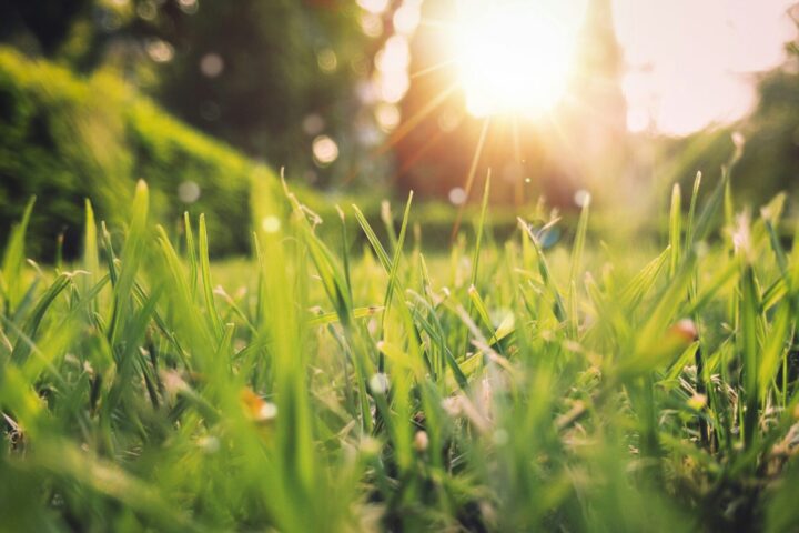 暑い夏にこそ白湯を飲んで、健康&無理のないダイエットを行なって痩せやすい体質を作ろう