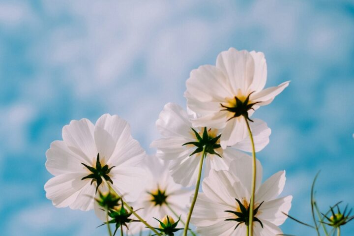 夏までに痩せたい人必見!!無理なダイエットはかえって逆効果？今やるべきこととは？