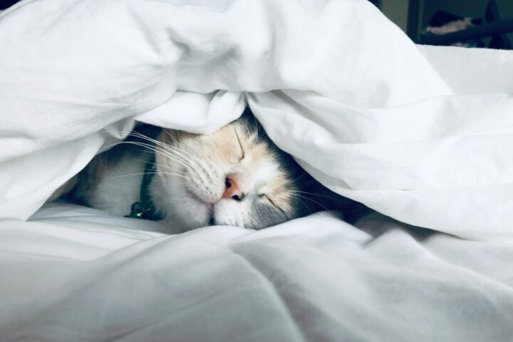 「眠れない・・・」春の睡眠トラブルにご注意を！