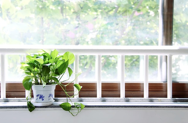 梅雨の時期に体重が増えてしまう原因や、雨の日が続いたタイミングやこれからの暑い夏に向けて体重を増やさないようにするダイエット方法とは・・・？