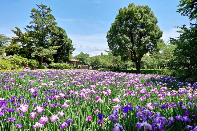 立夏の季節を味方に！五月病対策の心と体のケア