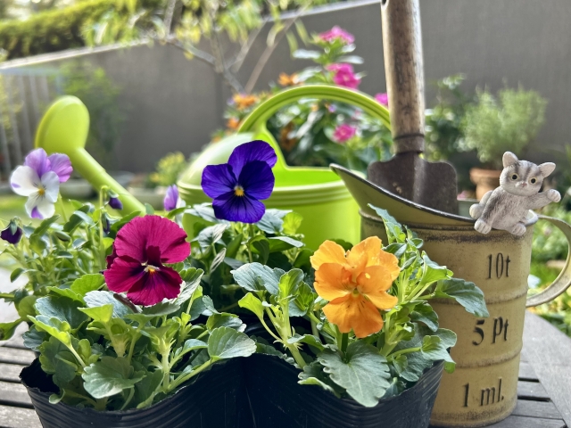 大雪の養生～冷えを寄せ付けず、陽気を守るあたたかな暮らし方～