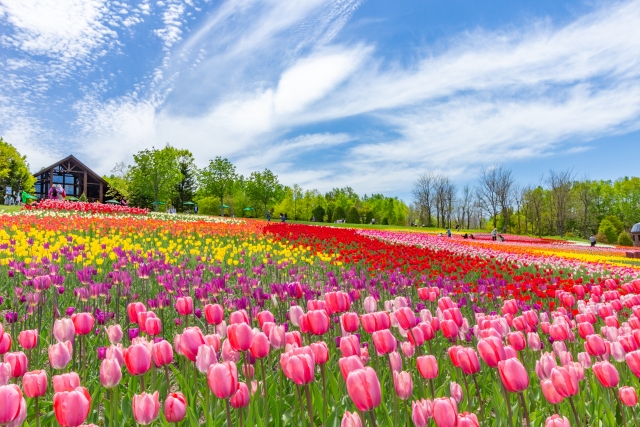 4月のだるさは‟エネルギー切れ？”　無理せず整える春の養生